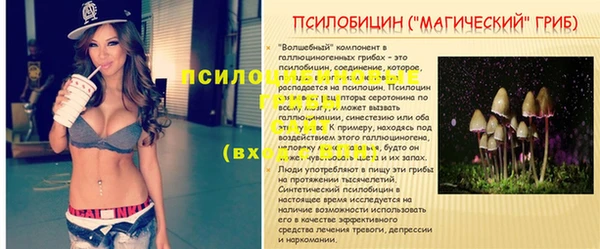 прущие грибы Богородск