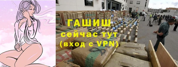 прущие грибы Богородск