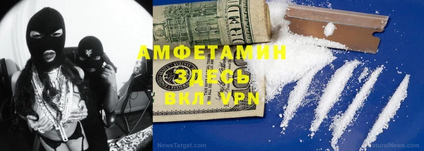 шишки Бронницы