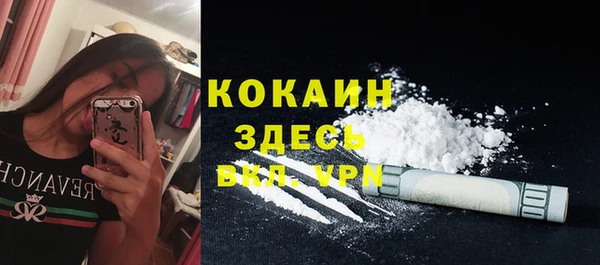 шишки Бронницы