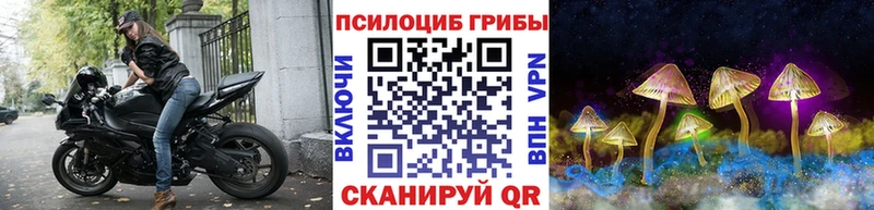 KRAKEN как войти  цены   Дюртюли  Псилоцибиновые грибы Cubensis 